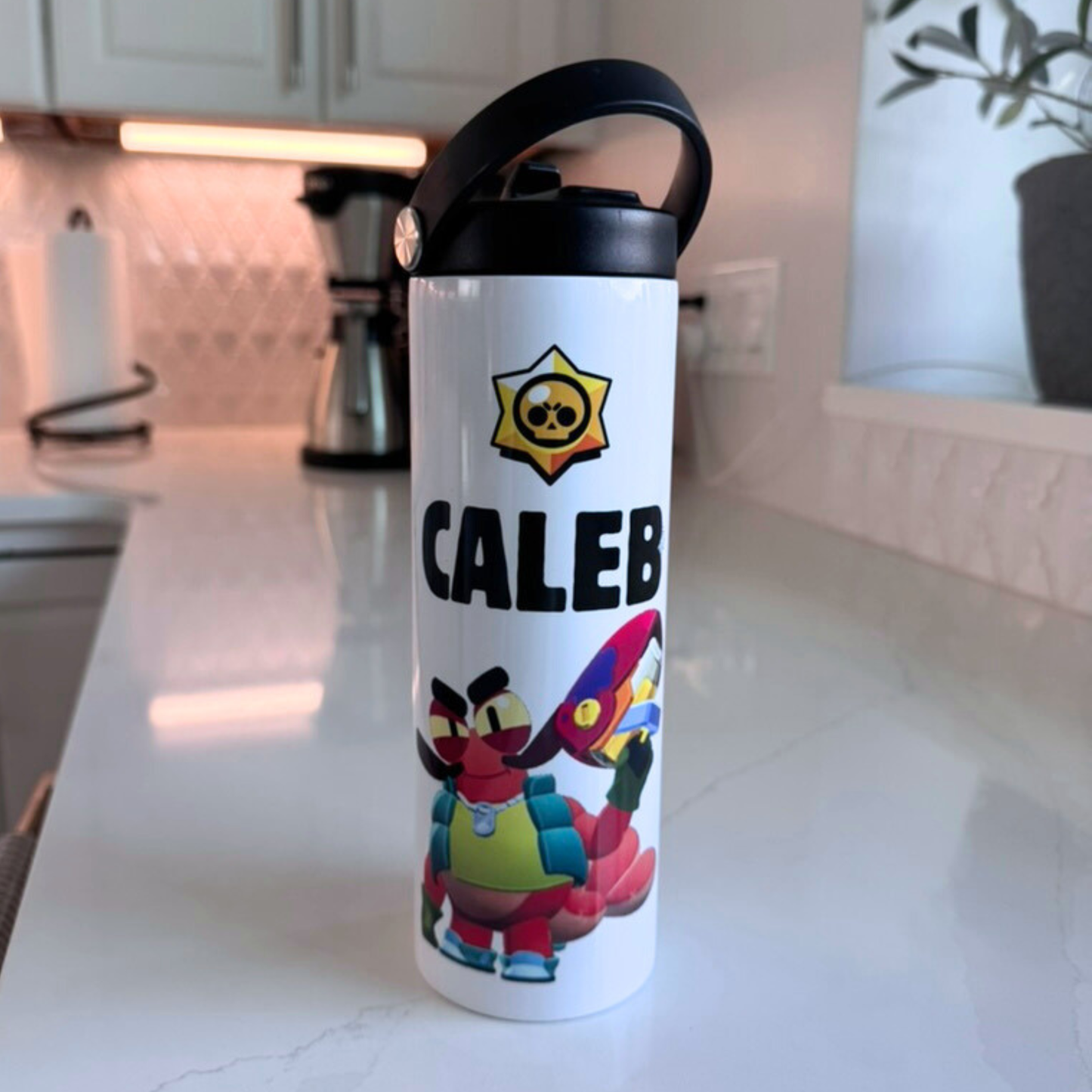 Water Bottle with Handle - 20 OZ